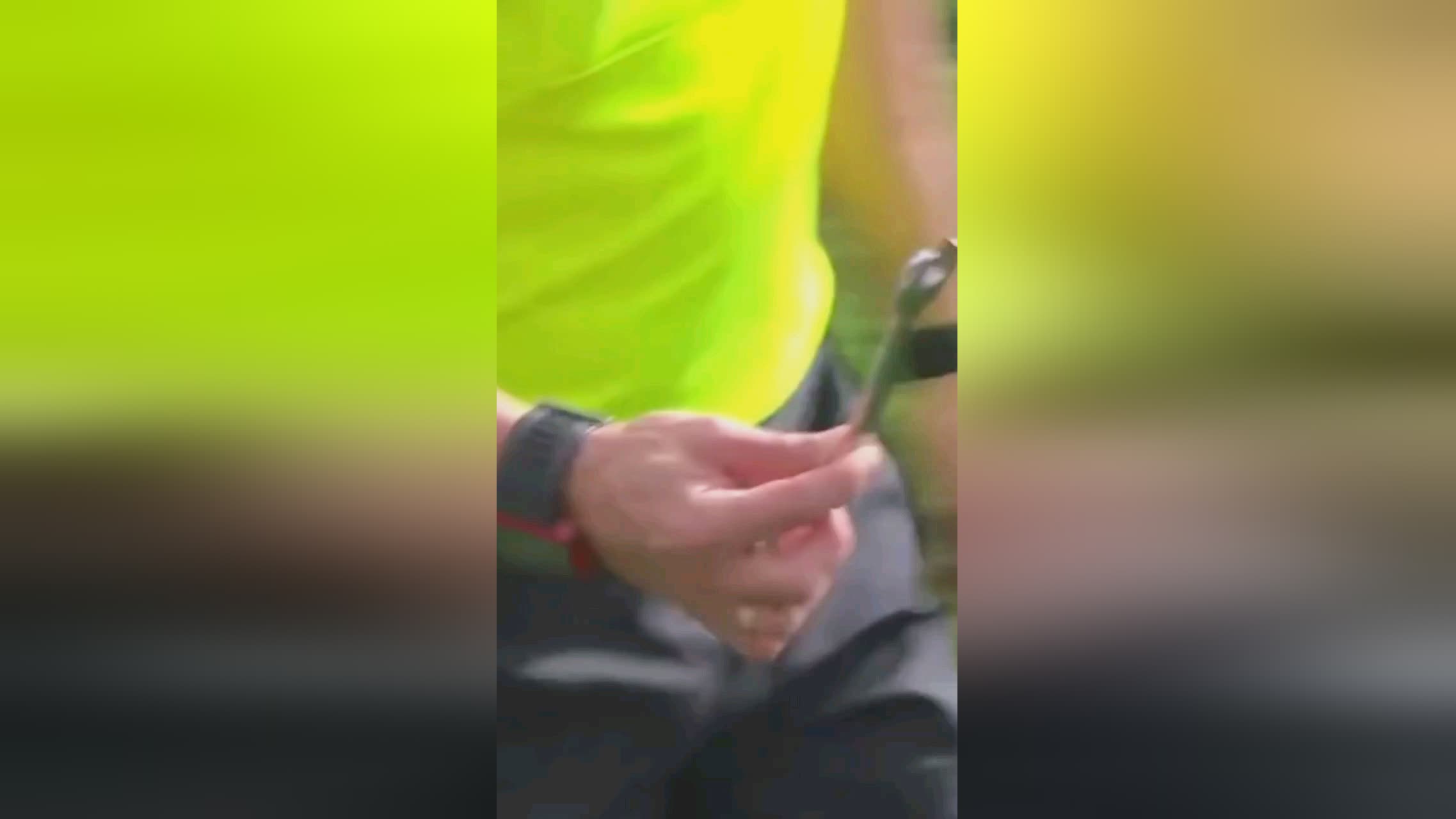 布亚德的任